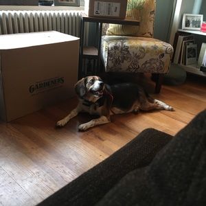 Meet your Posher, Michelle